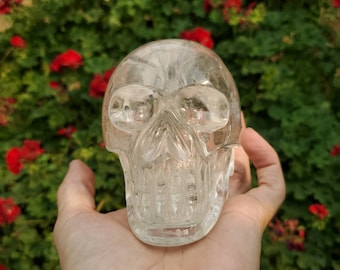Cráneo de cuarzo de cristal transparente- tallado a mano en Brasil- sentado en cerámica vegetal en un espacio alterado azteca- cráneo activado- cráneo de cristal grande