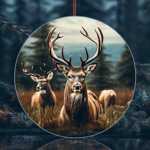 Buck, Christmas Ornament, Round Sublimation, 12&#39;&#39; and 8&#39;&#39;, Deer Sublimation, Deer Ornament PNG, Instant Download