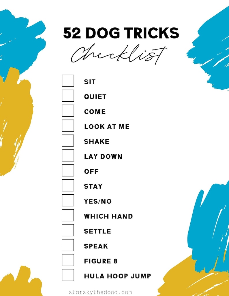 bring home puppy checklist bring home puppy checklist