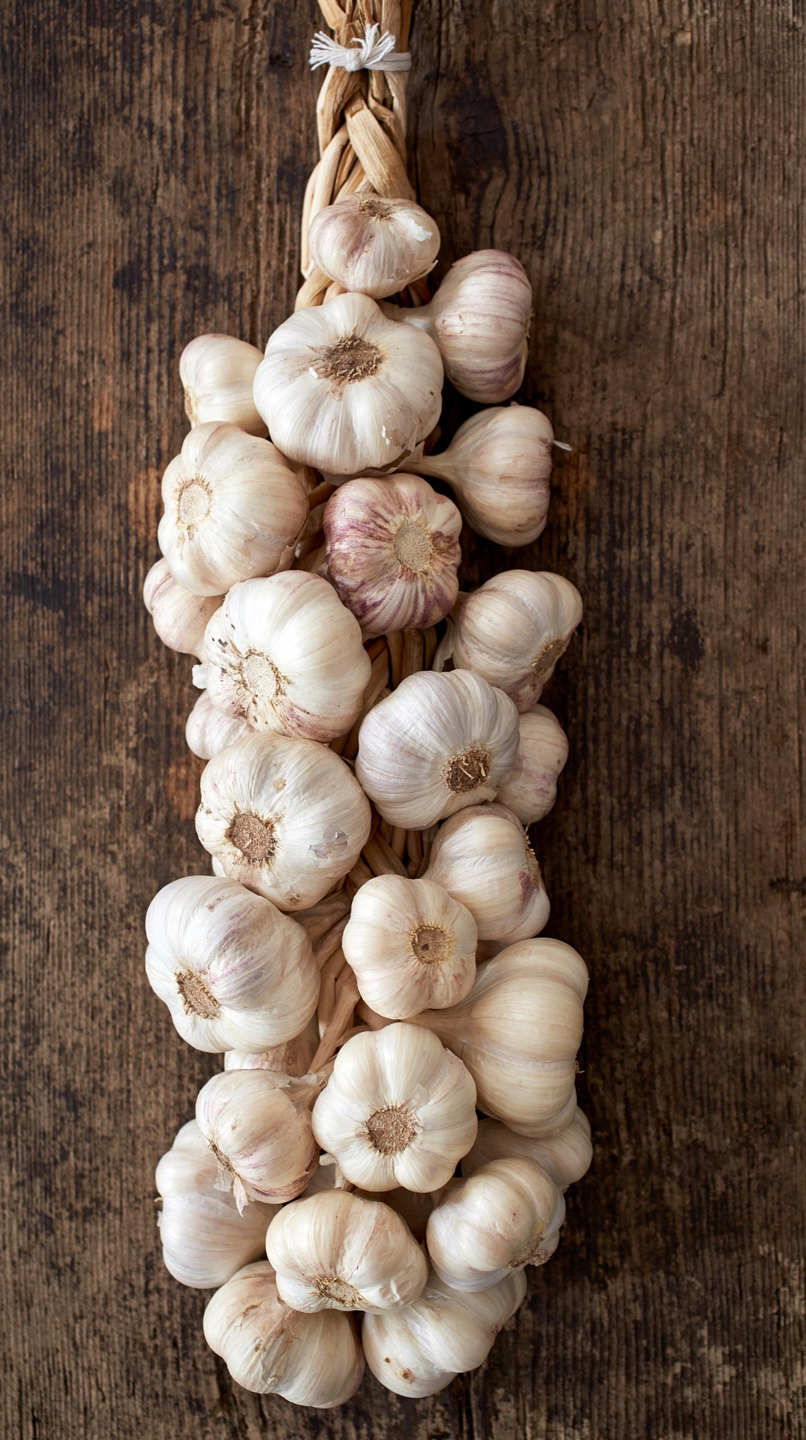Garlic Braids Pure Organic LARGE braided garlic for eating or | Etsy