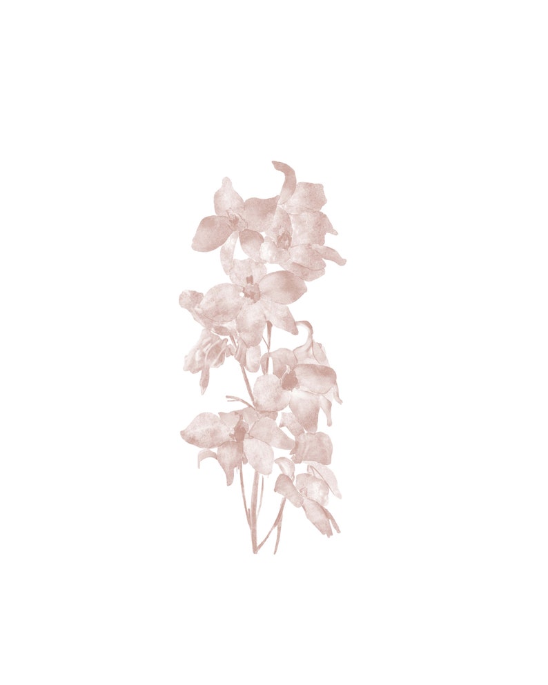 May include: A watercolor painting of a bouquet of delicate, blush-colored flowers with a soft, faded appearance.