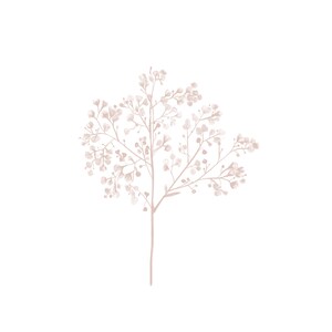 May include: A delicate, blush-colored floral sprig with small, clustered blossoms. The sprig is isolated against a white background.