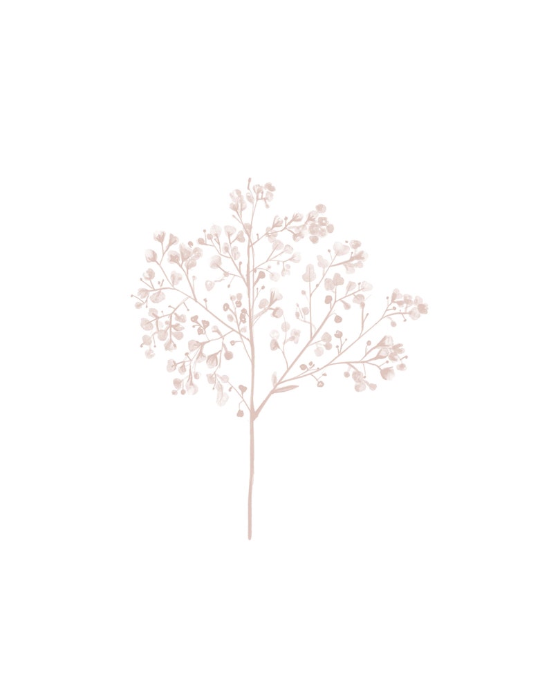 May include: A delicate, blush-colored floral sprig with small, clustered blossoms. The sprig is isolated against a white background.