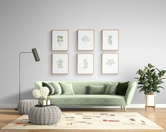 Sage Green Botanical Prints – Watercolor Floral Wall Art, Set of 6 (Digital Download)