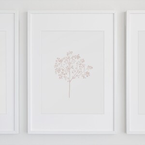 May include: Three framed prints with delicate pink floral illustrations. The prints are in white frames and are hung on a white wall.