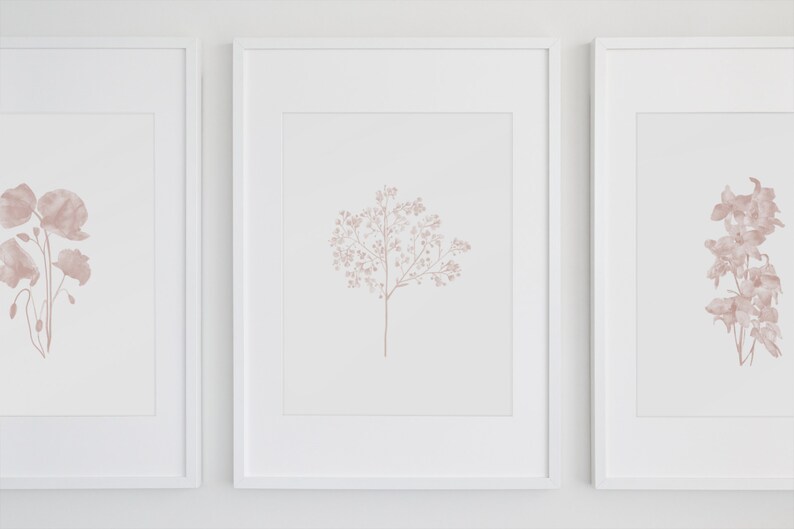 May include: Three framed prints with delicate pink floral illustrations. The prints are in white frames and are hung on a white wall.