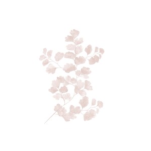 May include: A delicate fern branch with light brown leaves, rendered in a watercolor style against a white background.