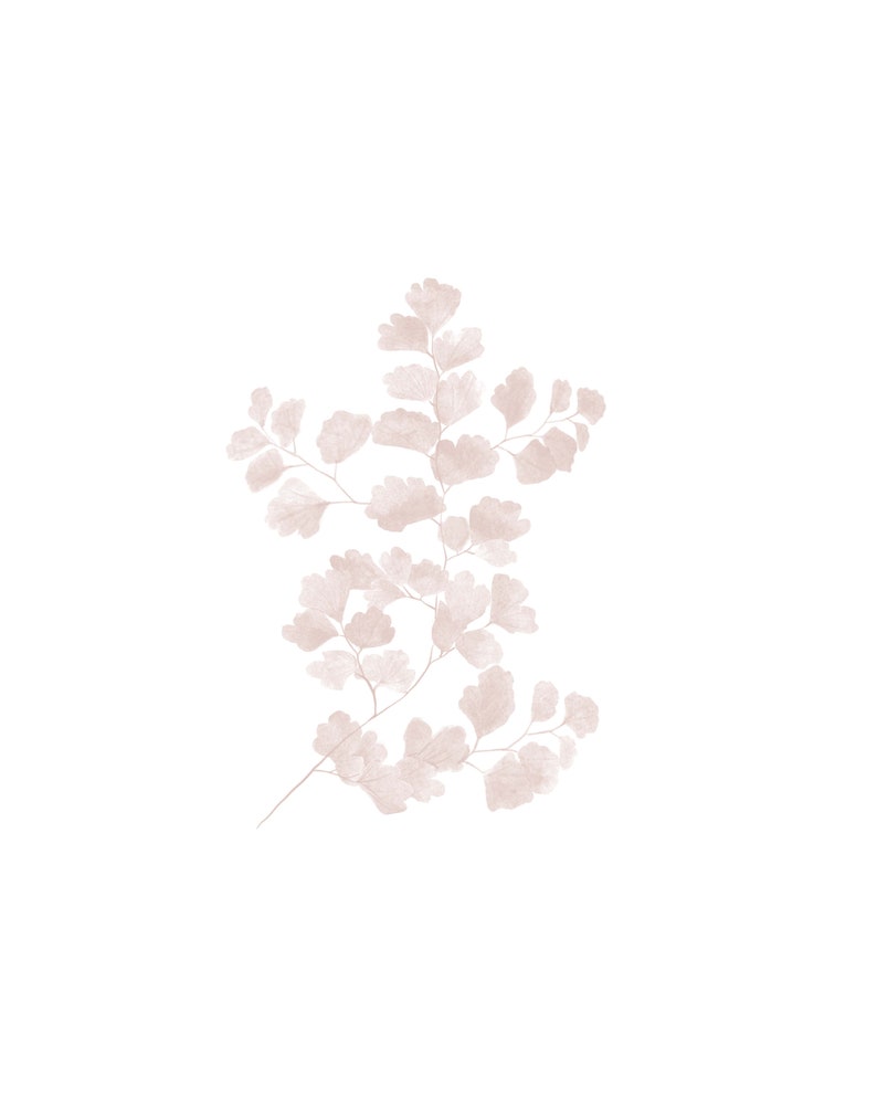 May include: A delicate fern branch with light brown leaves, rendered in a watercolor style against a white background.