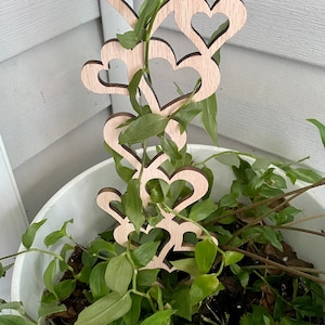 Op de afbeelding: Een houten hartvormige plantenspalier met klimplanten die er omheen groeien. De spalier is gemaakt van meerdere lagen harten, elk kleiner dan degene eronder. De spalier staat in een witte pot met groene planten die eromheen groeien.