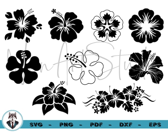 Hawaii Flower Svg Hibiscus Decal Hibiscus Stencil Floral - Etsy