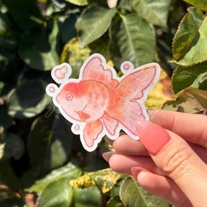 goldfish stickers | waterproof sticker | fish stickers | holographic stickers | glossy sticker | laptop water bottle sticker | aquarium fish