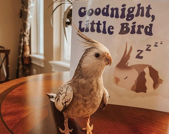 Childrens Book | Goodnight, Little Bird | Baby Gift | Animal Book | Mom-to-Be Gift | Baby Shower Present | Gift for Grandchildren | Nursery