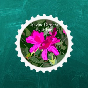 May include: A white circle with a scalloped edge, featuring a pink flower with green leaves. The text "Ravine Gardens State Park" is written in black letters at the top of the circle.