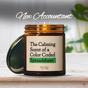 Funny Accountant Candle, New Future Accountant Graduation Gift Ideas, CPA Data Analyst Audit Gifts, Accounting Work Office Humor Excel Lover
