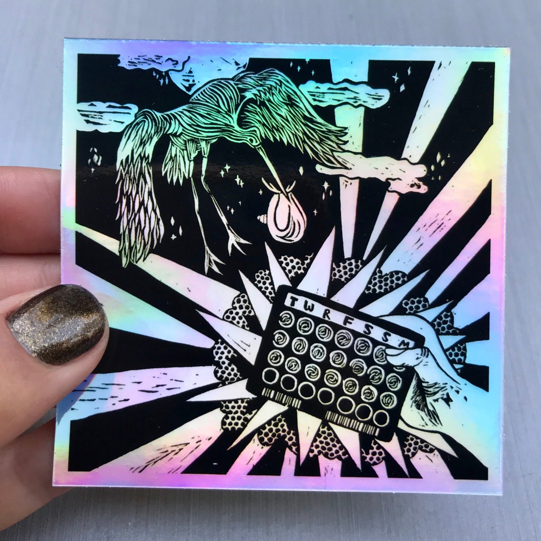 Birth Control Sticker | Holographic | Weatherproof | Laminated | Girl ...