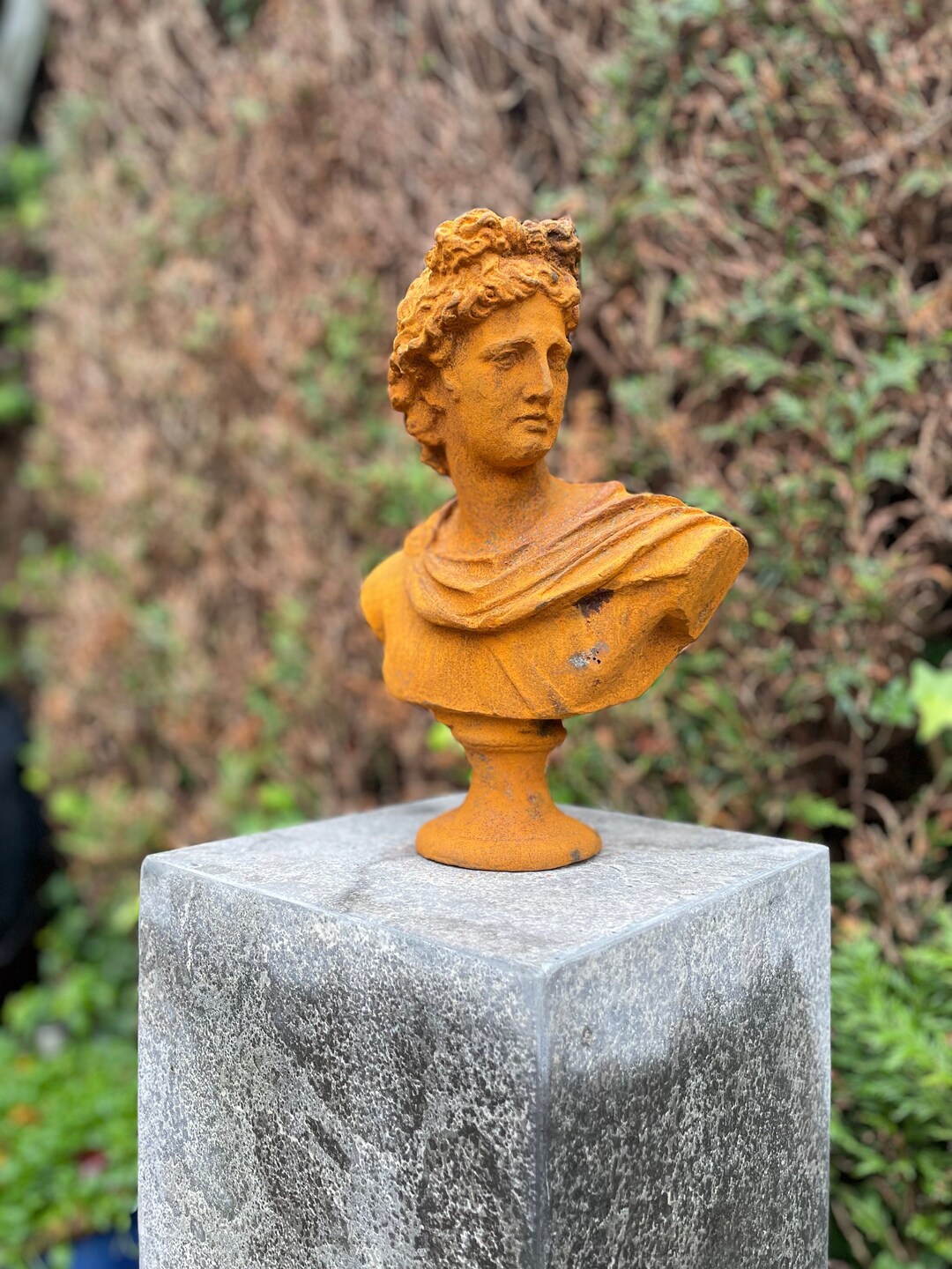 Apollo Bust Statue in Cast Iron (22x14x31cm) – Rustic Antique-style ...
