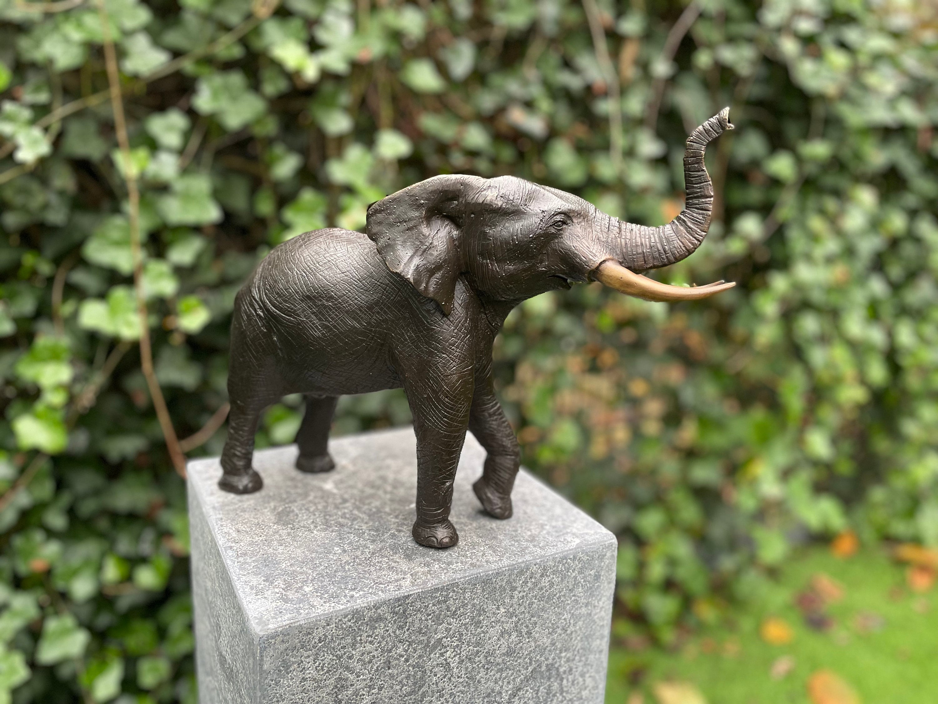 Bronze Elephant Garden Statue Sculpture Interior Etsy Australia