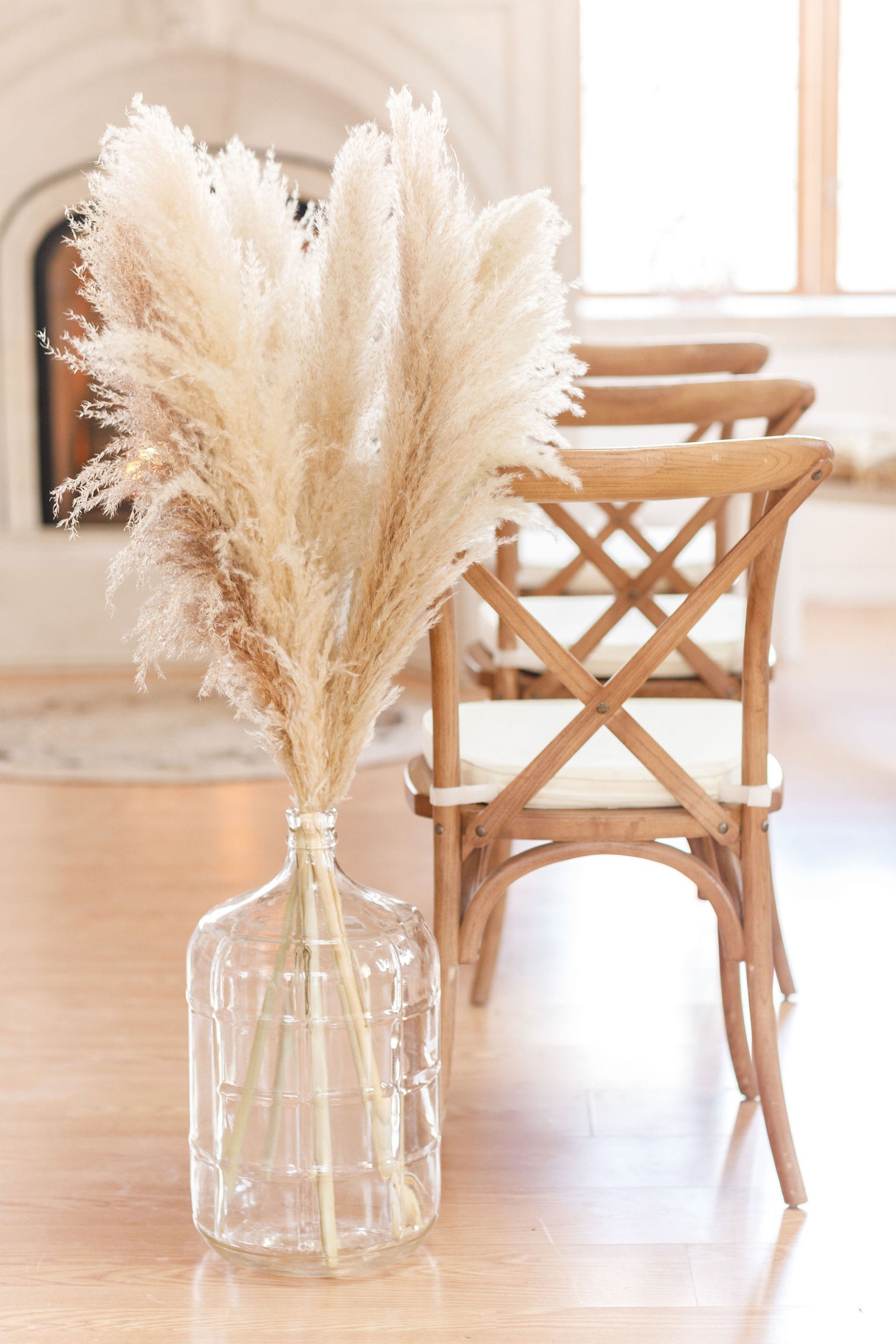 Giant Pampas Grass Beige Fluffy By Pampa Style Etsy