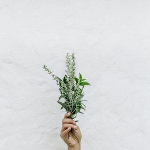 1 OUNCE of dried rosemary