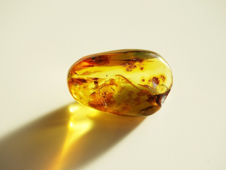 Yellow Baltic Amber Stone Fossils Minerals Home Decoration Geniune Amber Raw,Polished Rocks Natural Gemstone Unique Gift Healing Stone