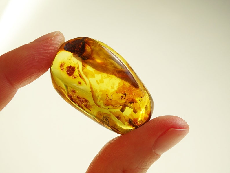 Yellow Baltic Amber Stone Fossils Minerals Home Decoration Geniune Amber Raw,Polished Rocks Natural Gemstone Unique Gift Healing Stone