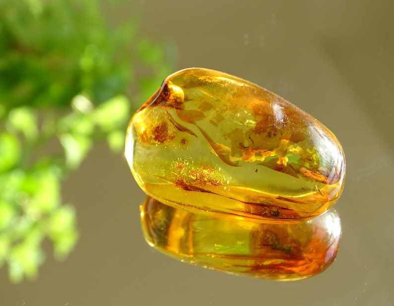 Yellow Baltic Amber Stone Fossils Minerals Home Decoration Geniune Amber Raw,Polished Rocks Natural Gemstone Unique Gift Healing Stone