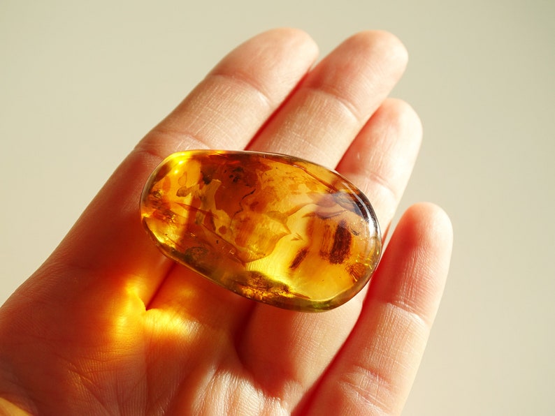 Yellow Baltic Amber Stone Fossils Minerals Home Decoration Geniune Amber Raw,Polished Rocks Natural Gemstone Unique Gift Healing Stone
