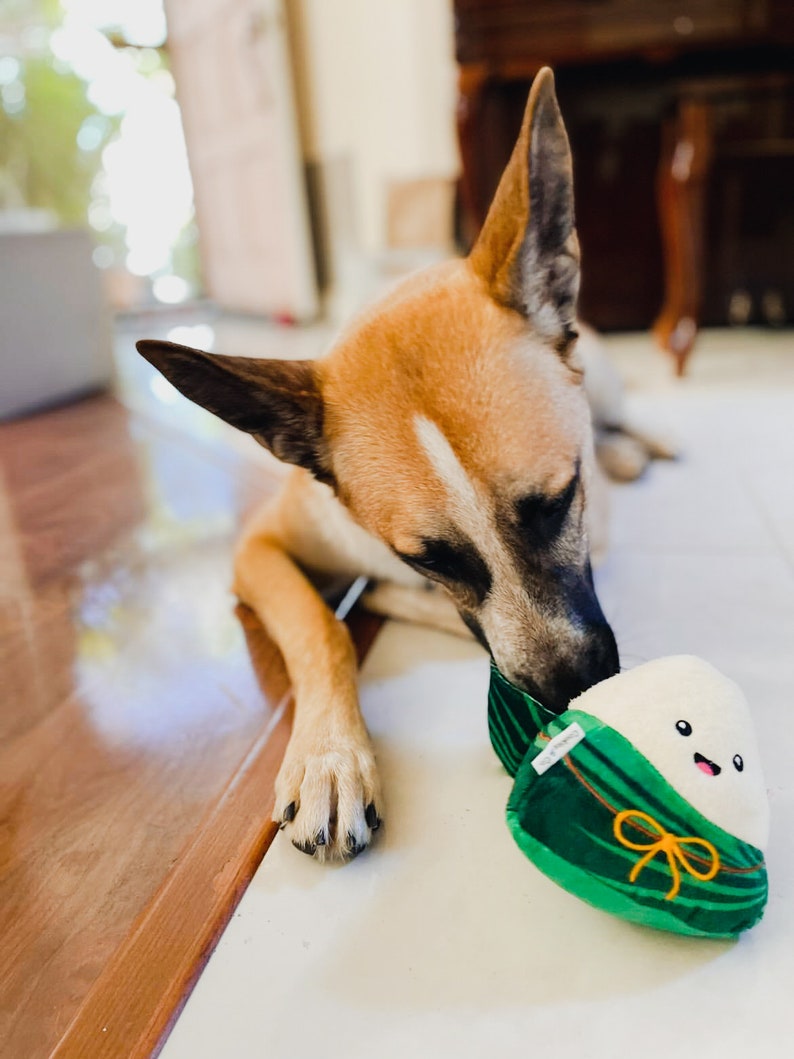 May include: A brown and white dog with black ears is playing with a green and white plush toy shaped like a rice dumpling. The toy has a yellow ribbon and a smiling face.