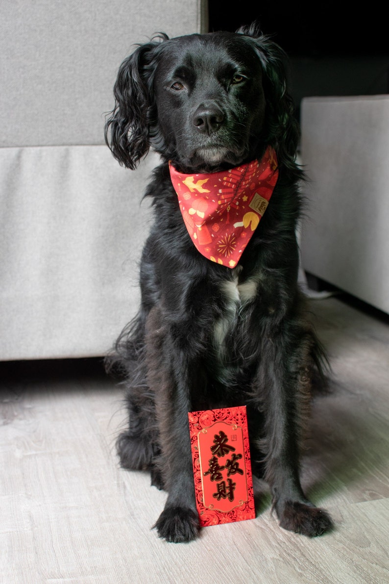 Lunar New Year Dog Bandana Tie-On with Snap Buttons image 3