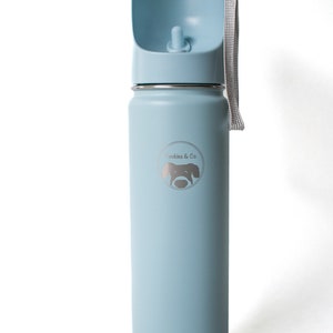 Insulated Dog Water Bottle
