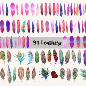 Feather Clipart, Feather PNG, Feather Vector, Watercolor Feathers, Peacock Clipart, Hand Drawn Feather, Colorful Feathers, Instant Download