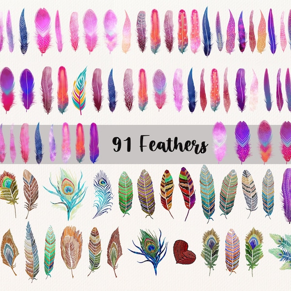 Feather Clipart, Feather PNG, Feather Vector, Watercolor Feathers, Peacock Clipart, Hand Drawn Feather, Colorful Feathers, Instant Download
