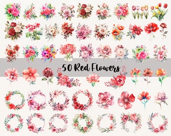 50 fleurs rouges PNG, aquarelle fleur Clipart, fleurs rouges Bundle Illustrations, téléchargement immédiat