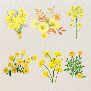 May include: A collection of six watercolor illustrations of yellow flowers. The flowers are all different types, including daisies, sunflowers, and buttercups. The illustrations are all done in a realistic style and are perfect for adding a touch of nature to any project.
