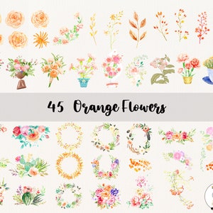 45 flores naranjas PNG, imágenes prediseñadas de flores de acuarela, ilustraciones de paquetes de flores naranjas, descarga instantánea