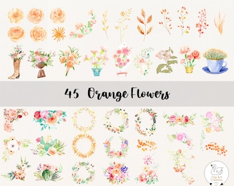 45 Orange Flowers PNG, Watercolor Flower Clipart, Orange Flowers Bundle Illustrations, Instant Download