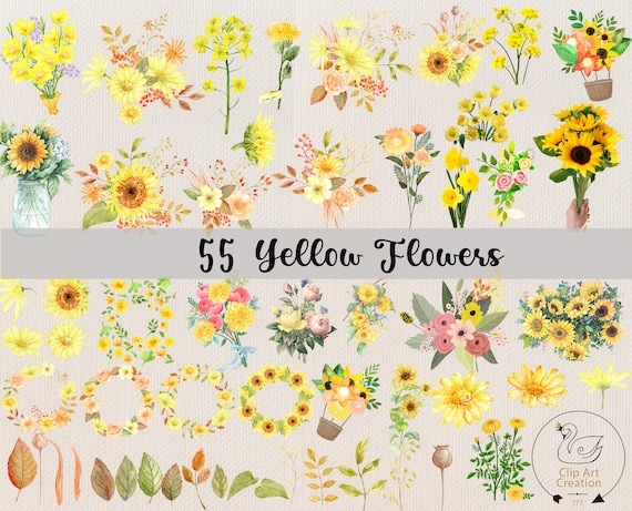55 Yellow Flowers PNG, Watercolor Flower Clipart, Yellow Flowers Bundle Illustrations, Instant Download