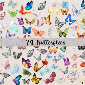 79 mariposa clipart PNG, acuarela mariposa y flores clipart, ilustraciones de paquete de mariposas, descarga instantánea