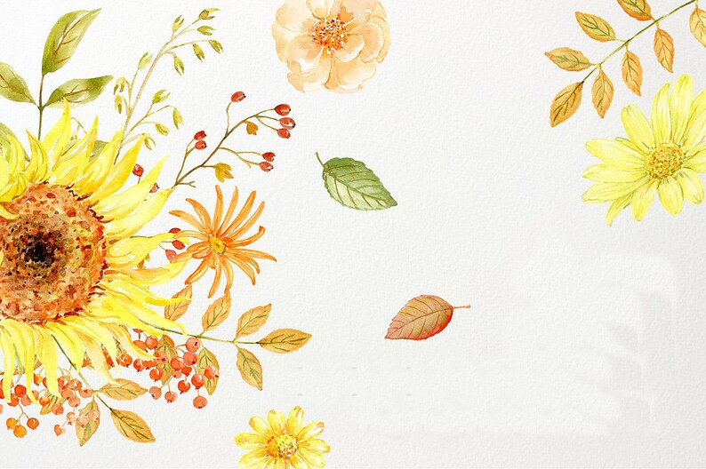 May include: A watercolor painting of a bouquet of yellow sunflowers, orange flowers, and red berries with green leaves on a white background.