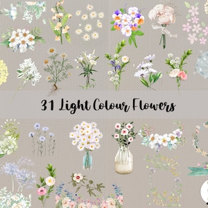 31 Light Color Flowers PNG, Watercolor Flower Clipart, Wedding Flowers Bundle Illustrations, Instant Download