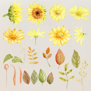 May include: Watercolor illustrations of sunflowers, leaves, and other floral elements. The illustrations are in shades of yellow, green, and brown.