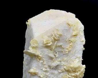 Microlite Albite & Muscovite on Feldspar Crystal - Skardu Pakistan