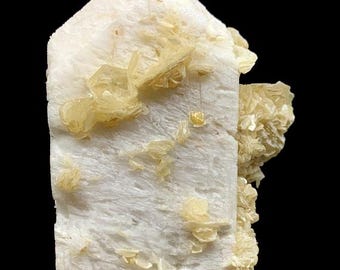 Microlite Columbite Muscovite Cluster on Feldspar Crystal, Pakistan