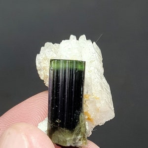 8 Grams Very Beautiful Green Cap Tourmaline with Matrix Crystal From Skardu Pakistan