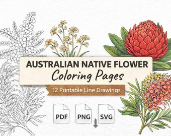 Australian Native Flower Coloring Pages | Printable Line Art (Digital Download)