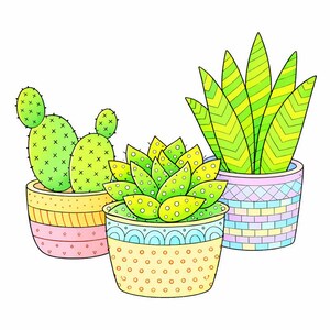 May include: Three potted succulents in a colorful illustration. A cactus, a rosette succulent, and a snake plant are in decorative pots with pink, yellow, and blue designs. The plants are green with yellow accents.