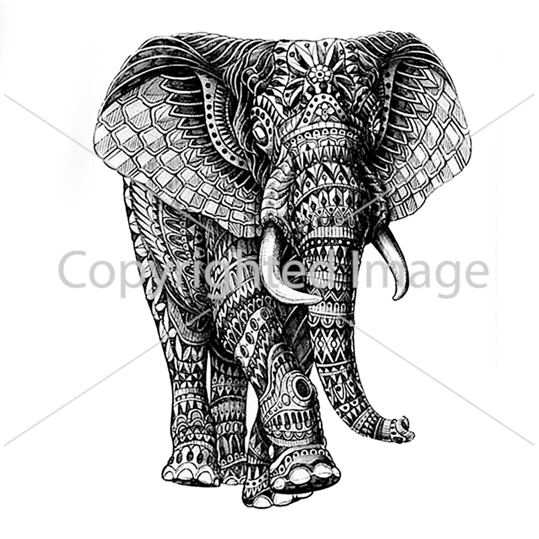 Tattoo Design Elephant Digital Download - Etsy