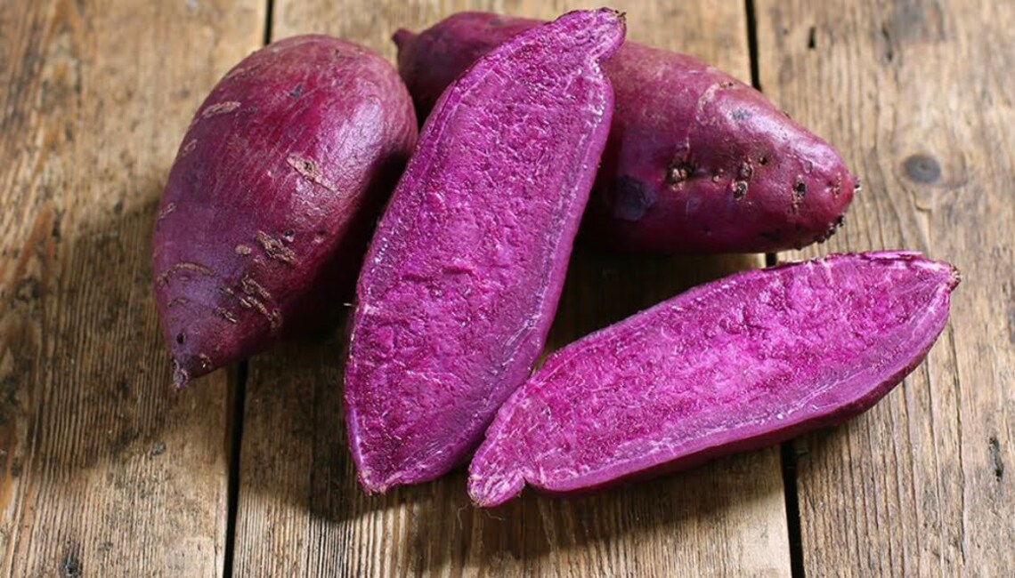 5 sweet potato slips organic Etsy