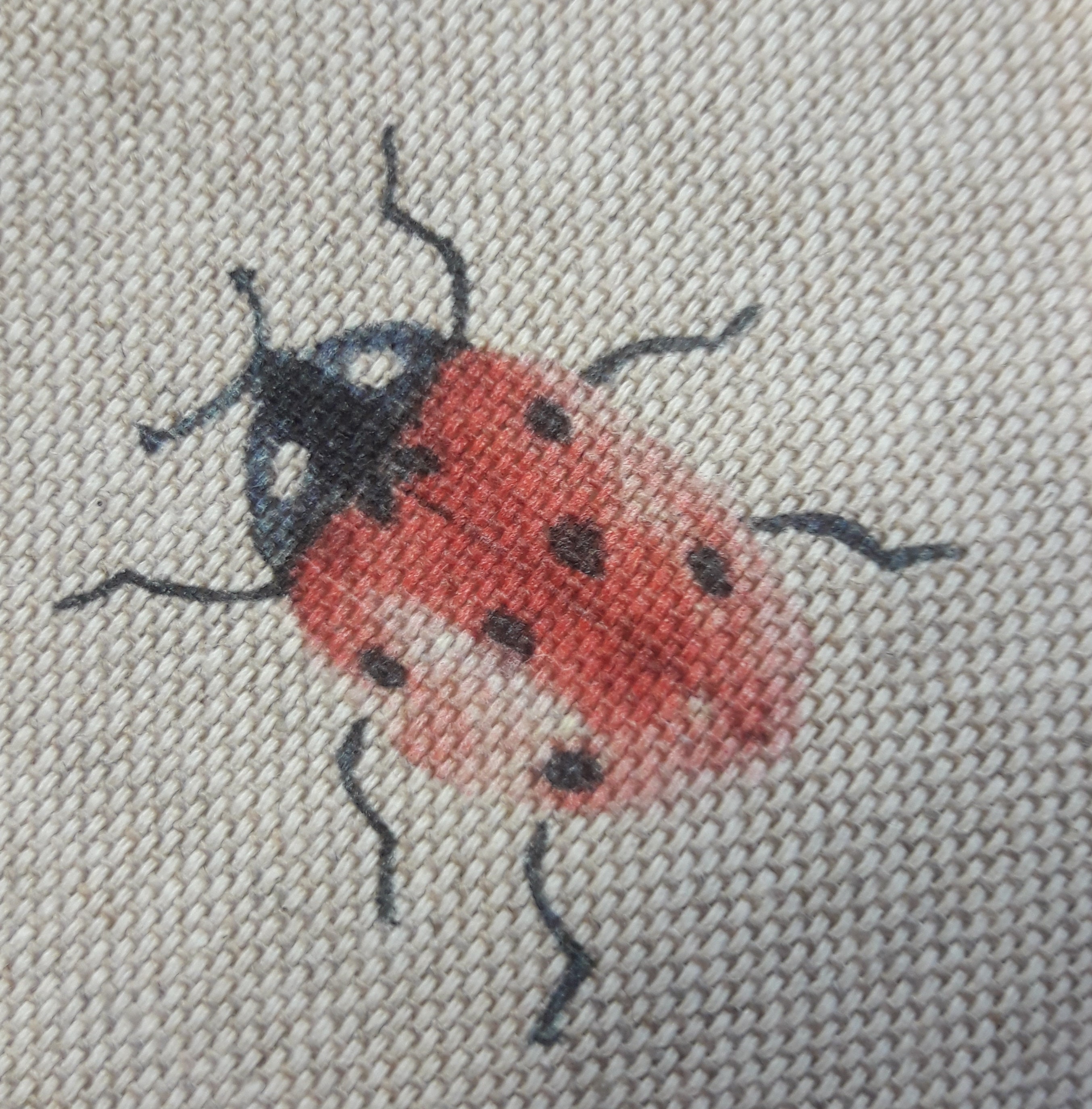 Crochet Hook Case Ladybird Design Etsy