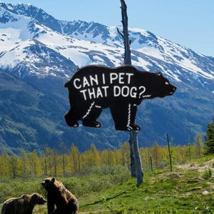 Funny dog meme, Can I pet that dog meme, Funny Gift, Funny Pin, Bear Pin, Pin Collection , Friend Gift, Humorous Gift, dog lover gift